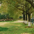 Pruning Saws