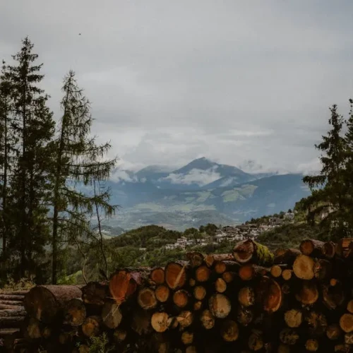 Electric Chainsaw (40cm)