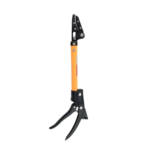 FPLR-22