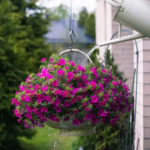 Metal Watering Can (10L)