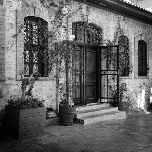 Large Plastic Planter